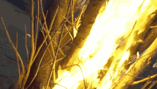 乐橙国际·lc8(中国游)官方网站